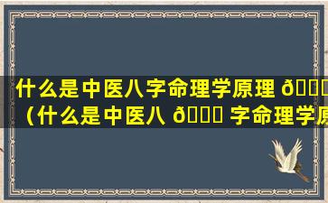 什么是中医八字命理学原理 💐 （什么是中医八 🐅 字命理学原理和方法）